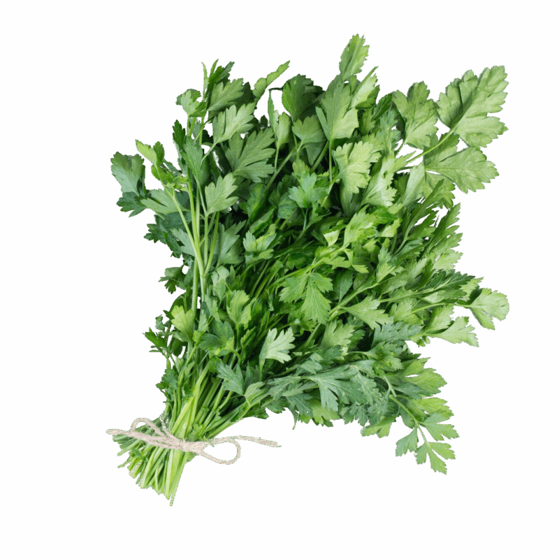 Fresh Coriander Leaves 100g