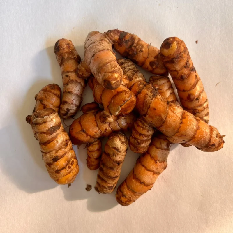 Turmeric Root
