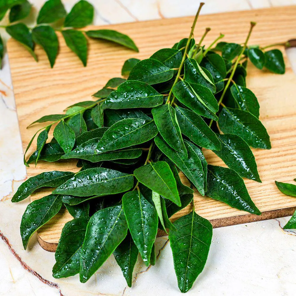 Curry Leaves