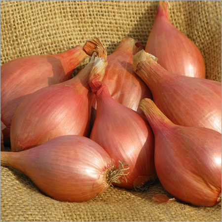 Shallots