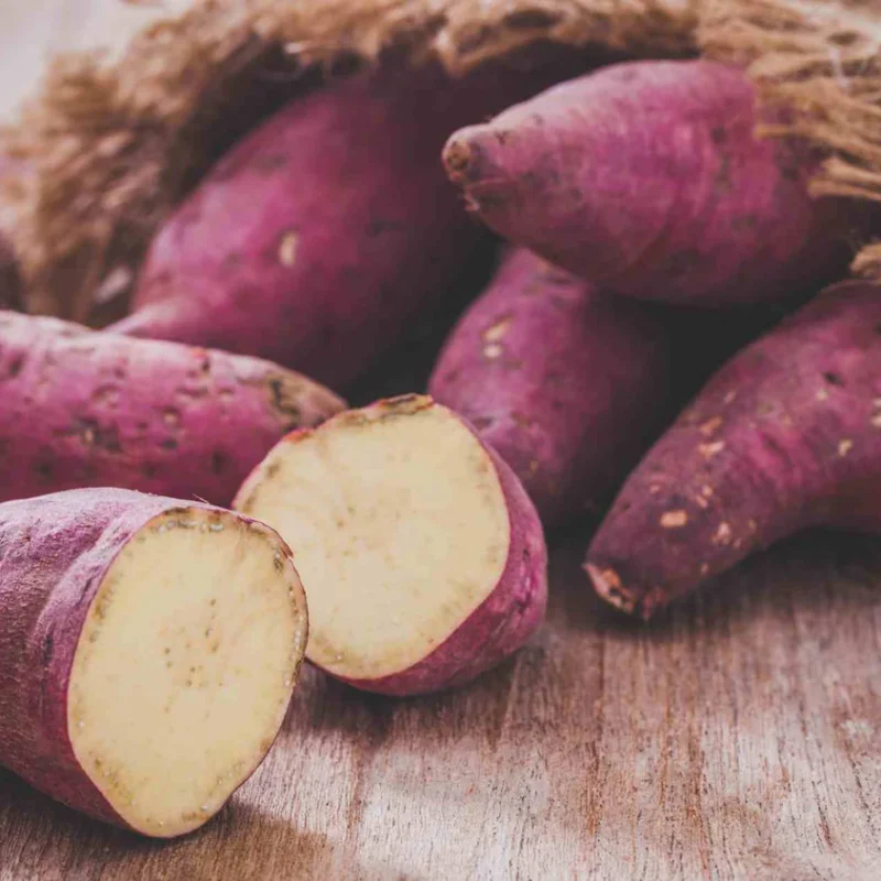 Sweet Potato