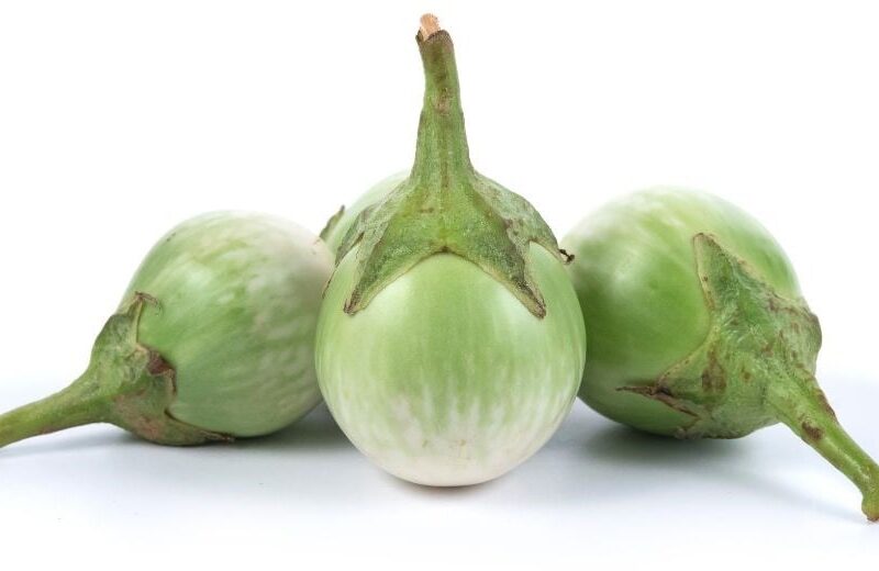 Thai Eggplant