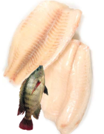Tilapia Fish Fillet 800 g