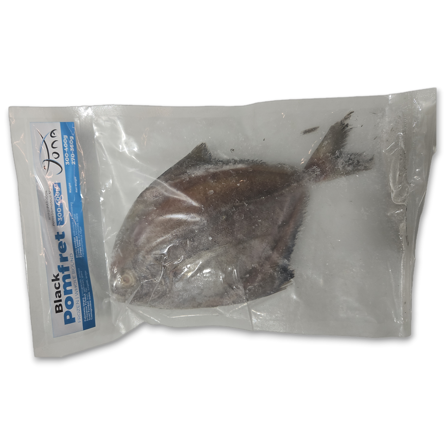 Frozen Asian Choice Kingfish W/R 800+gm (1stk) - Only Berlin Same Day Delivery